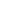 Toyota Professional