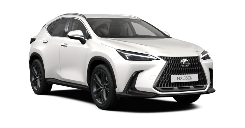 Nuova Lexus NX a Torino