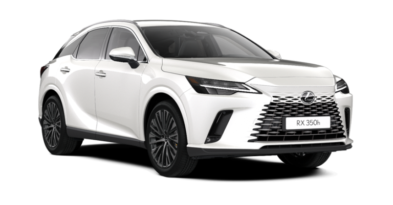 lexus rx da central motors a torino