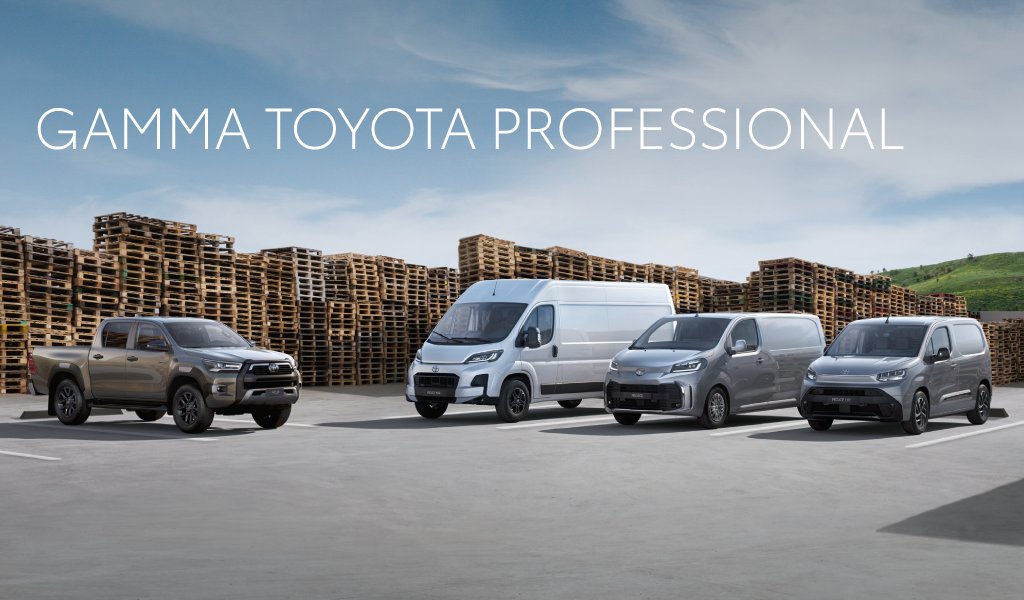 GAMMA TOYOTA PROFESSIONAL