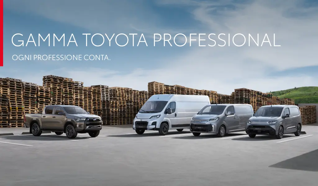 GAMMA TOYOTA PROFESSIONAL